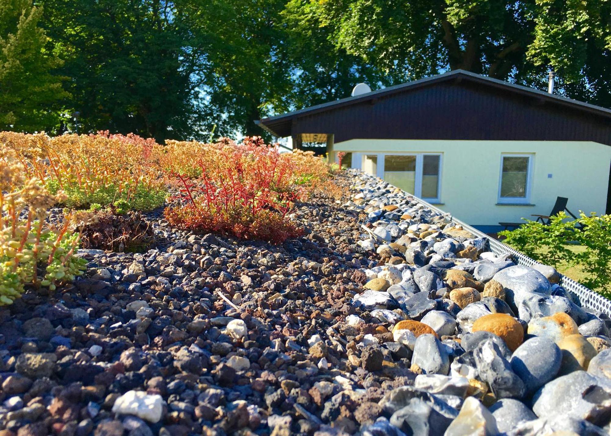 Ferienhaus Boddenhus 글로페 외부 사진